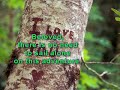 Heavenletters - Love Letters from God - Take a Look