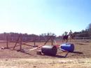 horse jump horse jump