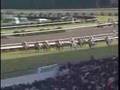 1992 セントライト記念 ST. Lite Kinen