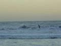 Surf (Toninhas/Itamambuca)