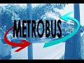 La verdad del origen del metrobus en san salvador
