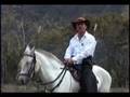 videos de LA ULTIMA CARTA - PORFIRIO SAMANIEGO