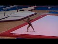 Shawn Johnson  Gran prix Jesolo FX