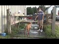 Dog Training Tips : How to Wash a Dog Dog Training Tips : How to Wash a Dog