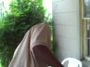 TePH in the HOOD (Wilmo) TePH in the HOOD (Wilmo)