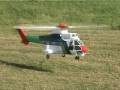 Baumann Puma with Helicommand