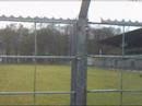 Fc Wageningen
