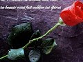 amour a vie