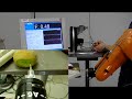 Kivi_LP.mpg
