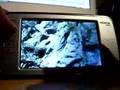 play video