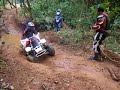 banshee mayaguez 6