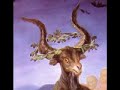 9. What is witchcraft and why believe in witches?