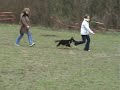 Sranda z�vod ?eleznice