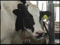 Discover Dairy and Animal Care Discover Dairy and Animal Care