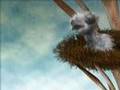 Flying Bird Animation