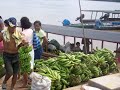 Simplemente Puerto Maldonado
