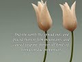 Souerah Al Hijr By Hani Ar Refa3i 1426 Souerah Al Hijr By Hani Ar Refa3i 1426