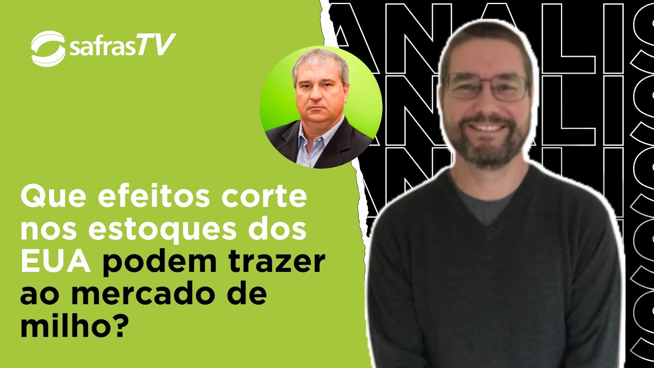 Analista detalha efeitos que corte nos estoques dos EUA pode trazer ao mercado de milho