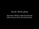 Surah Al Layl recited by Mahmoud Khalil Hussary.Visit us at www.1dawah.co.uk