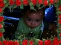 videos de Sat. November22, 2008