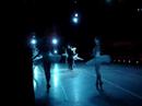 Swan Lake 1 Swan Lake 1