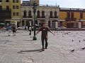 corriendo las palomitas