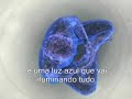 Relaxamento