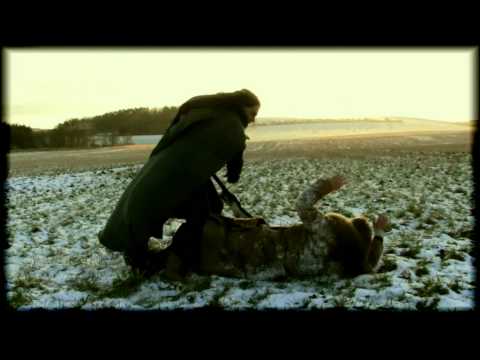 Youtube Video NVUlrAddp-8
