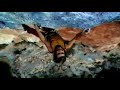 chris sharma redpointing la rambla