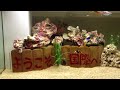 Click here to watch this video 好適環境水