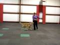 videos de tobey.MOV
