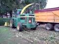 videos de Corn Harvest Silage