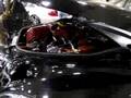 videos de Toronto Import Car Festival 2008