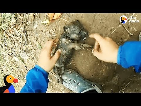 Totalnypsychol bez serca wyrzucił szczeniaka do rzeki. Wędkarz podjął próbę ocalenia życia pieska