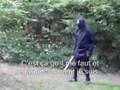 Le Combat Fratricide