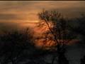 Daumants Kalnins(treble) - Ave Maria