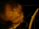 Rotting Christ - After Dark I Feel Rotting Christ - After Dark I Feel