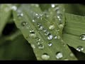 LAS GOTAS DE MI VIDA vol. II. LAS GOTAS DE MI VIDA vol. II.