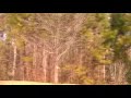 Roswell, GA - Huntington Park/Estates - Part 1