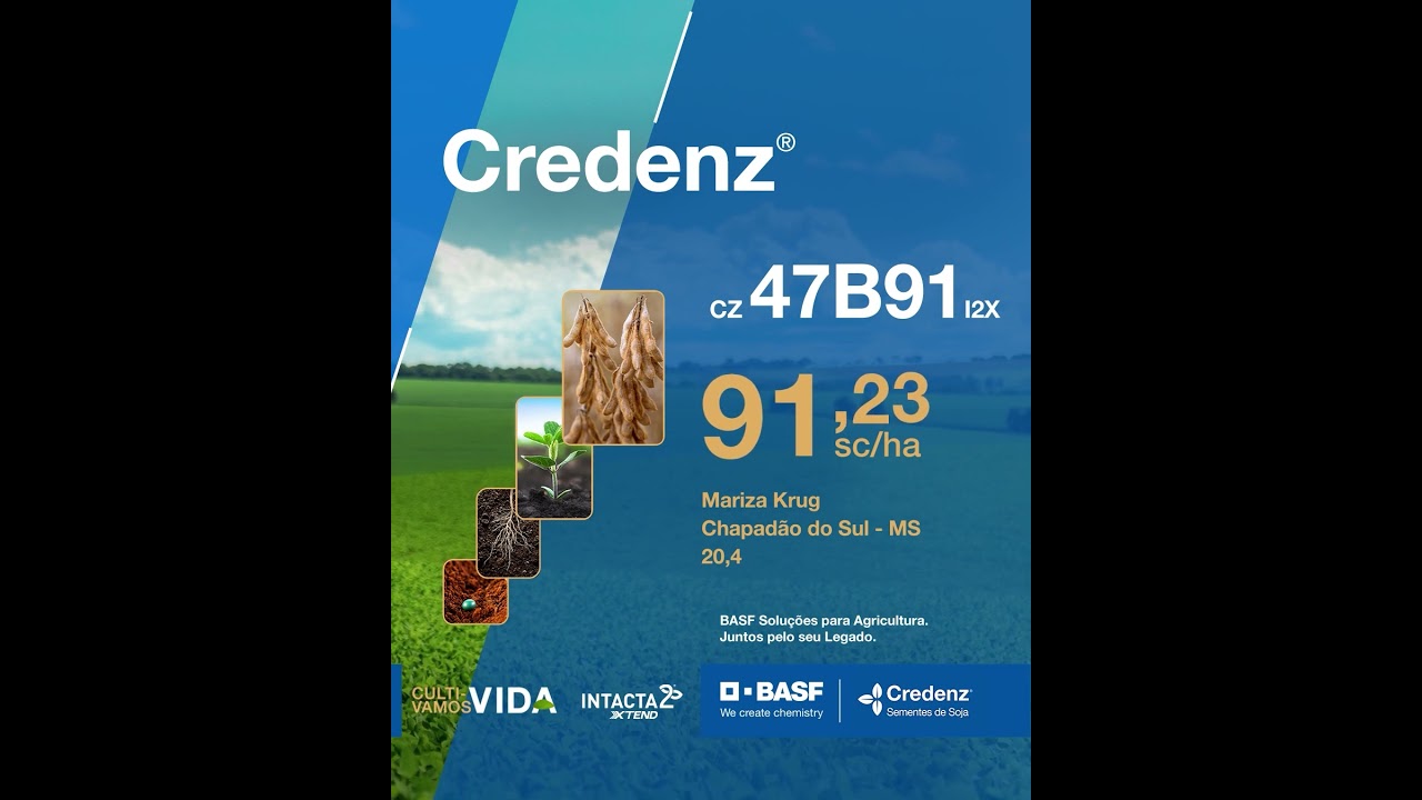 CZ 47B91 I2X Credenz®: resultados de produtividade no Mato Grosso do Sul.