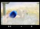 Sonic the Hedgehog in Super Smash Brothers: Brawl (Official)