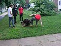Greg Denis Vs. Ben Umen Wrestling Match