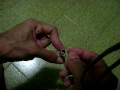 gglizando