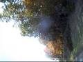 Autumn Road in Arkanasas