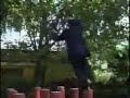 Baguazhang On Pole