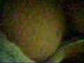 Click here to watch this video Sepasang Kekasih ML di Toilet Pom Bensin, Ketahuan