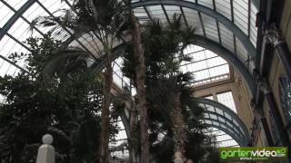 Der Palmengarten im Alexandra Palace