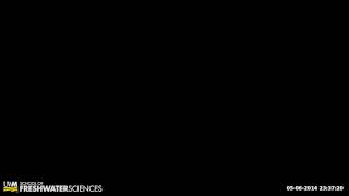 HD Webcam Timelapse 05-06-2014 23:00-23:59
