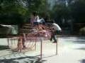 videos de Convivencia con 4.3 parte 2