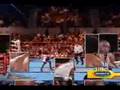 Floyd Mayweather Jr - The Brawler pt 2